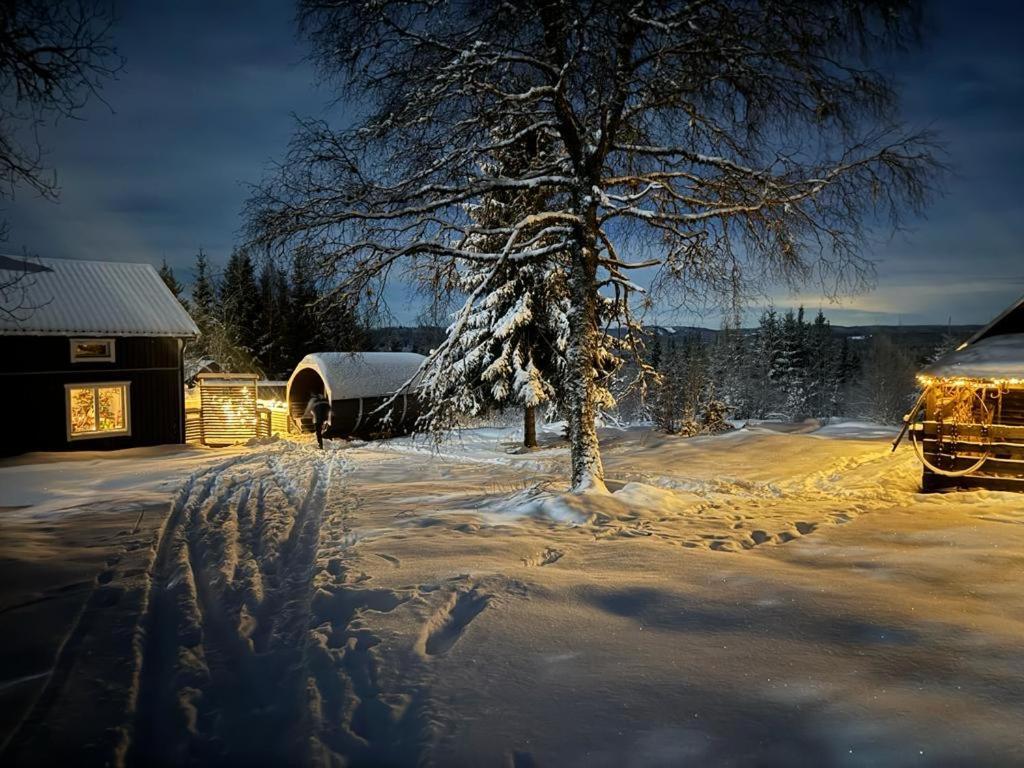 Forest Cabin With Stunning Mountain View & Sauna 토르스뷔 외부 사진